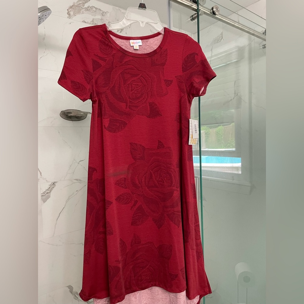 Lularoe Carly dress
